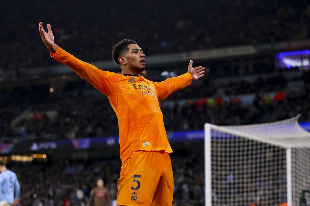 不会发生根 不会发生根